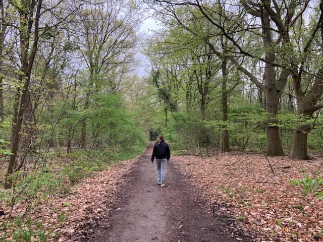 Stacaravan Huren In Het Hart Van Bosrijk Drenthe Op Recreatiepark De Tien Heugten Schoonloo Exterior photo