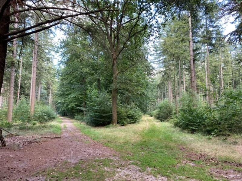Stacaravan Huren In Het Hart Van Bosrijk Drenthe Op Recreatiepark De Tien Heugten Schoonloo Exterior photo