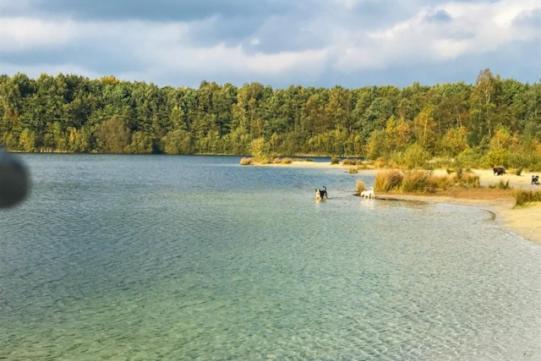 Stacaravan Huren In Het Hart Van Bosrijk Drenthe Op Recreatiepark De Tien Heugten Schoonloo Exterior photo